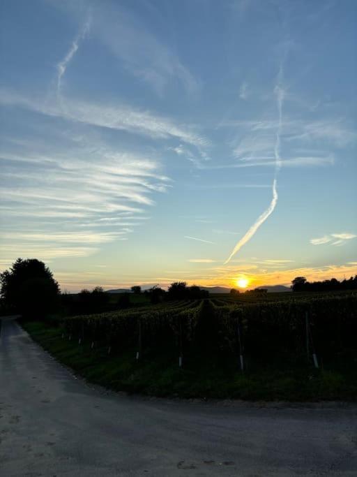 Ferienwohnung In Der Suedpfalz Zeiskam ภายนอก รูปภาพ