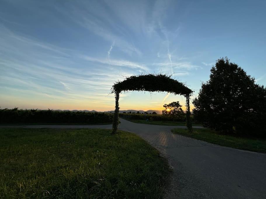 Ferienwohnung In Der Suedpfalz Zeiskam ภายนอก รูปภาพ